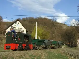 Kemence Forest Museum Railway