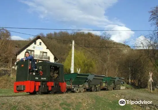 Kemence Forest Museum Railway