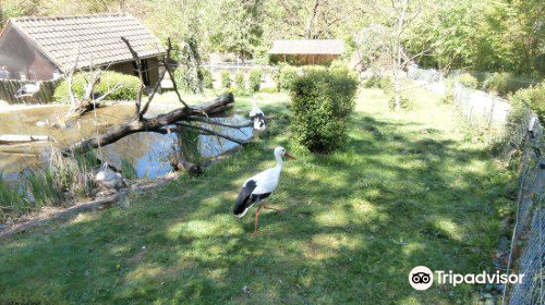 Schwarzwaldzoo Waldkirch