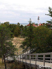 Whitefish Point Bird Observatory