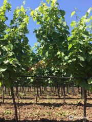 Azienda Agricola La Vinarte