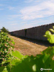 Les Vignerons de Mont-Pres-Chambord