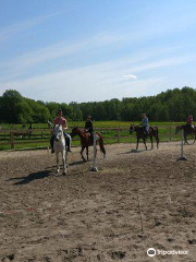 Horseback Yard Sednevskiy