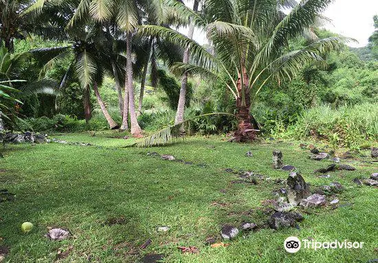 Arai-Te-Tonga