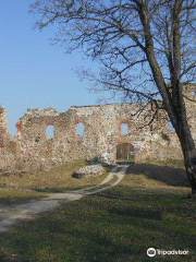 Развалины орденской крепости Лайузе