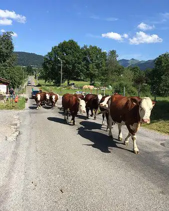Hotels in Saint-Paul-en-Chablais