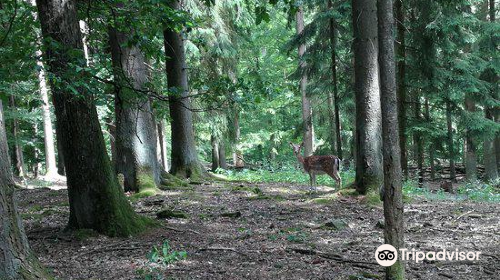 Wildpark Klaushof