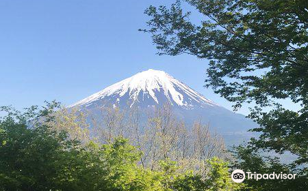 河口湖想像の森