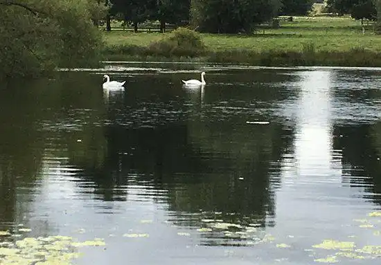 Cottesbrooke