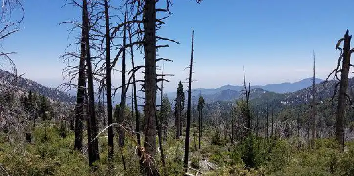 โรงแรมในอาซูซ่า