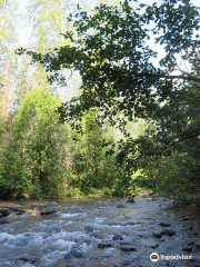 Driftwood Canyon Provincial Park