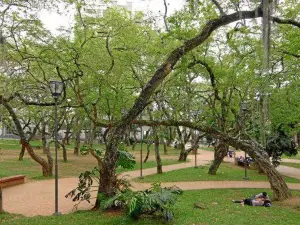 Parque San Pío