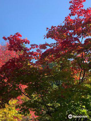 Hiraoka Tree Art Center