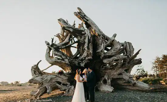 Hotels in La Push