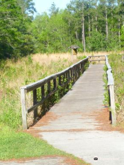 Grand Bay Wildlife Management Area