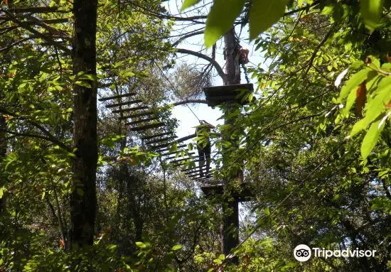 La Foret des Ecureuils