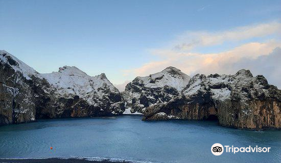 Beluga Whale Sanctuary