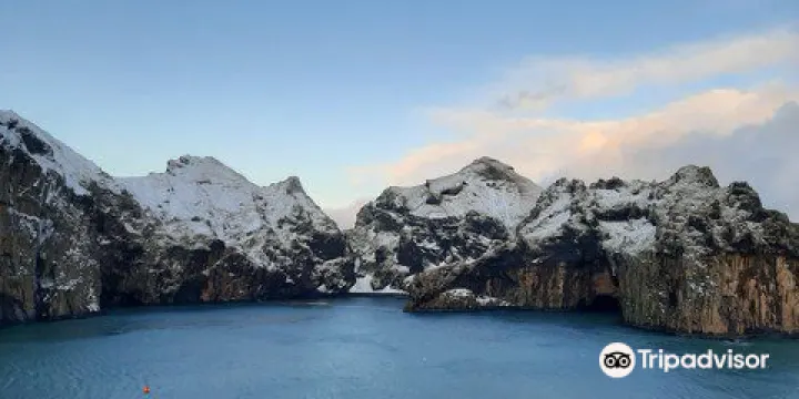 SEA LIFE Trust Beluga Whale Sanctuary