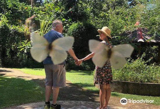 Brasserie le Dome - Chalon Sur Saone