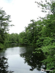 Natural Lands' Glades Wildlife Refuge