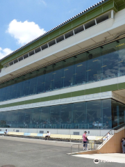Nagoya Racing Course