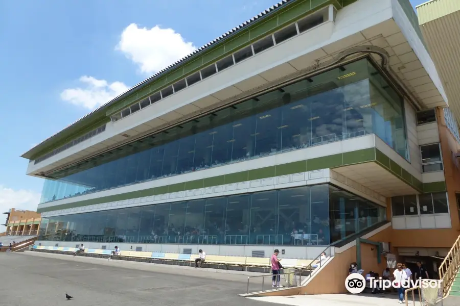 Nagoya Racing Course