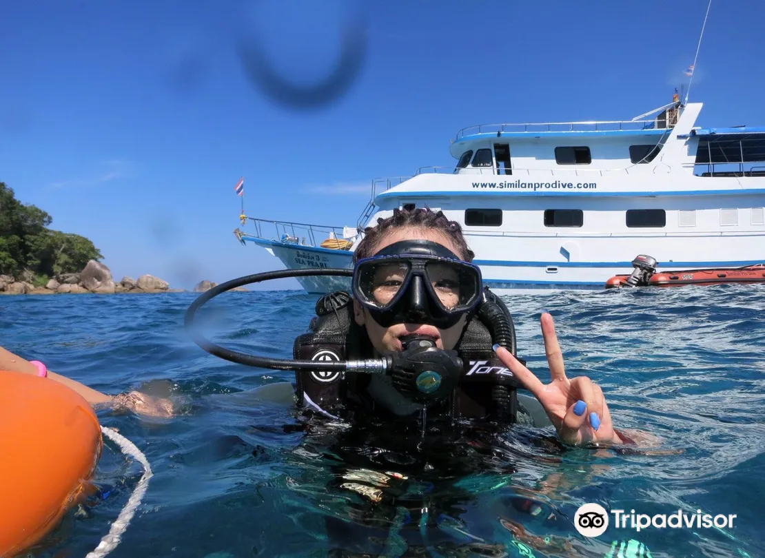 2_Similan Pro Dive