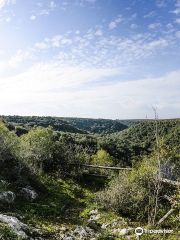 Centro Visite Bosco delle Pianelle