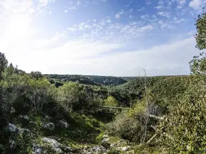 Centro Visite Bosco delle Pianelle