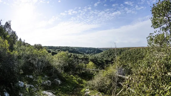 Bosco delle Pianelle Natural Reserve