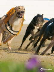 Belle Vue Greyhound Stadium