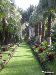 Palmco Garden