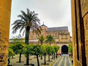 Patio de los Naranjos