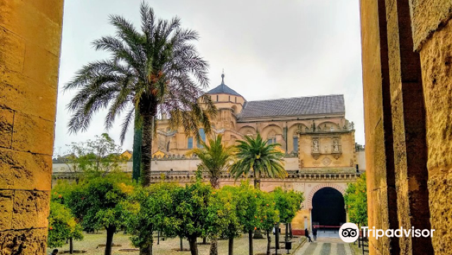 Patio De Los Naranjos