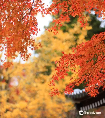 大阪府池田市top10好去處 21池田市旅遊攻略 Trip Com 大阪府池田市top10好去處 21池田市旅遊攻略 Trip Com