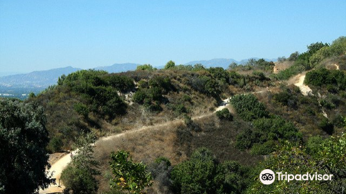 Coldwater Canyon Park