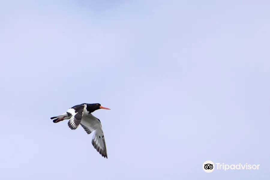 Titchfield Haven National Nature Reserve