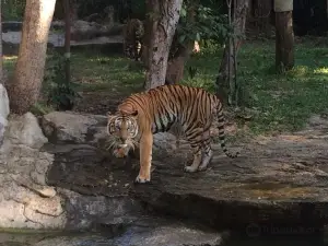 Ubon Ratchathani Zoo