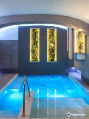 Erato Wellness Luxury Spa Artimino