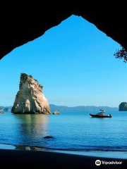 Cathedral Cove Scenic Cruises