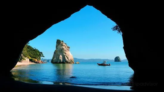 Cathedral Cove Scenic Cruises