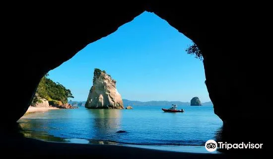 Cathedral Cove Scenic Cruises
