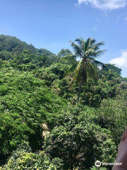 Kep Butterfly Farm