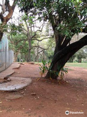 Botanical Garden and Zoo (Jardin Botanico y Zoologico)