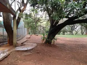 Botanical Garden and Zoo of Asunción