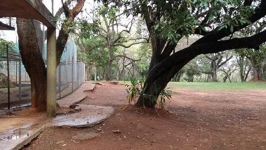 Botanical Garden and Zoo of Asunción