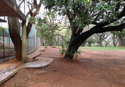 Jardín Botánico de Asunción