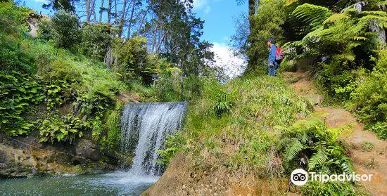 Oakley Creek Walkway