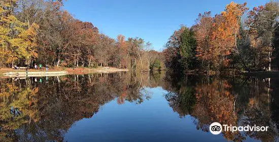 Oak Openings Preserve Metropark