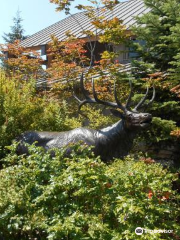 The Forest Learning Center at Mount St. Helens